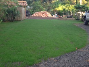 VersiGrid RV driveway in grass